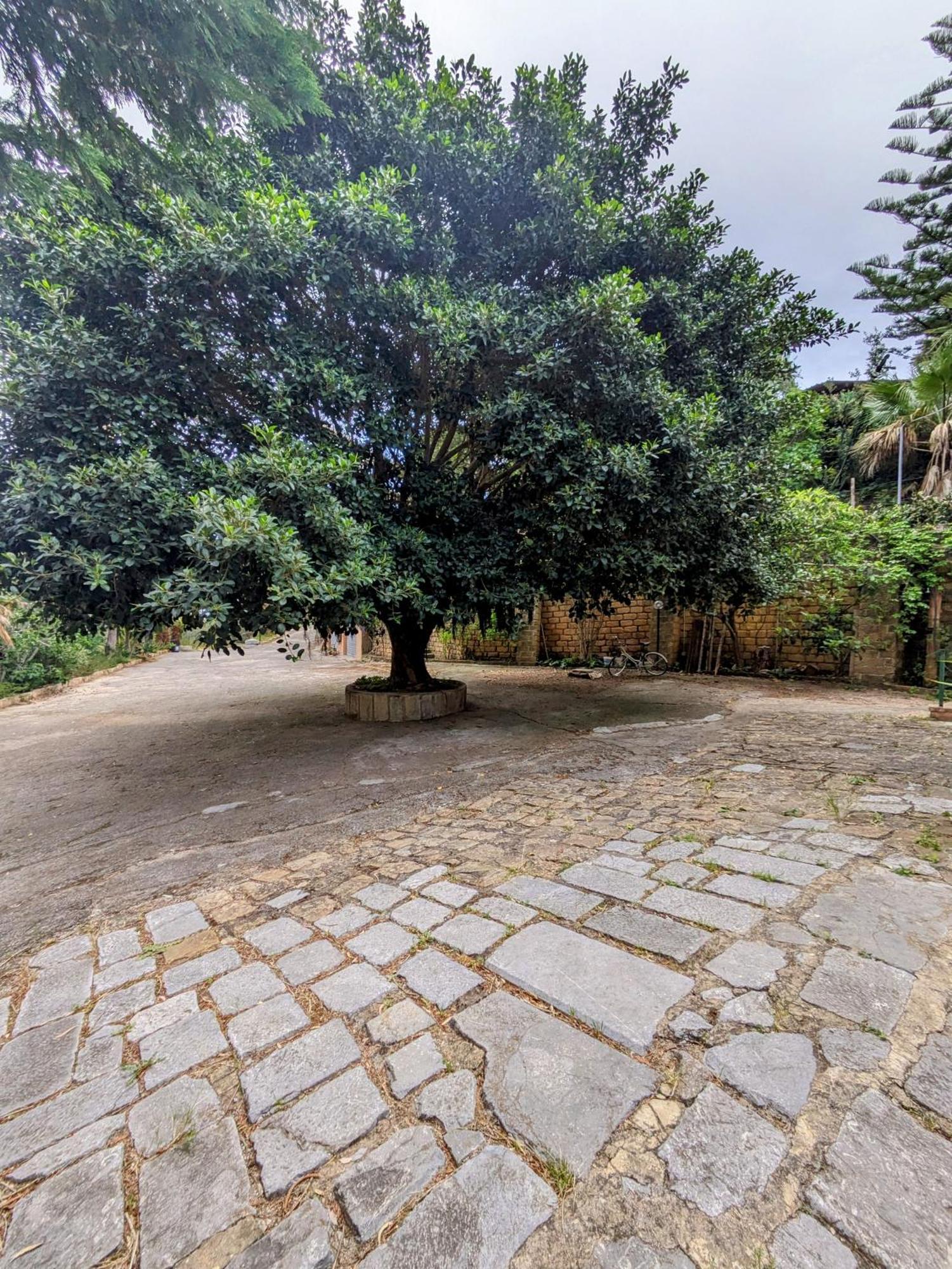 Appartamento Terra Mia Cefalù Esterno foto