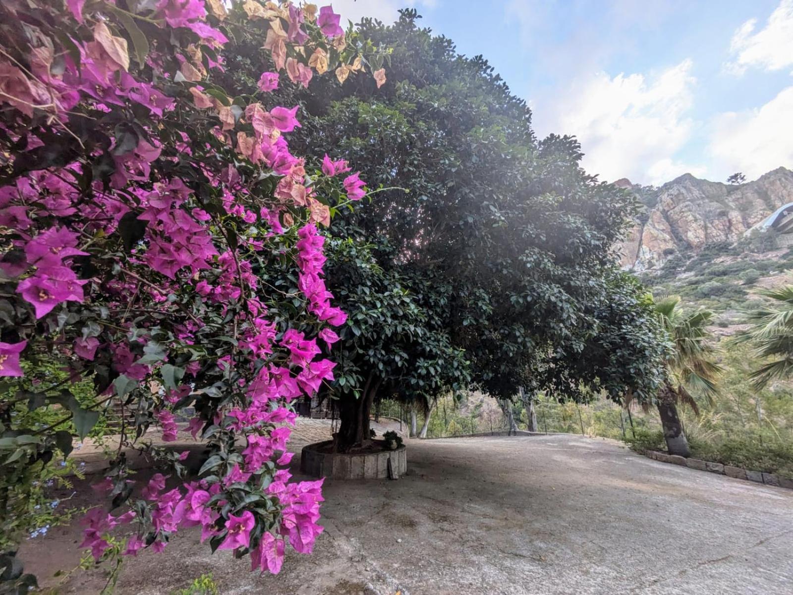 Appartamento Terra Mia Cefalù Esterno foto