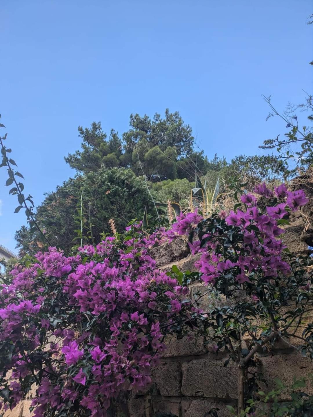 Appartamento Terra Mia Cefalù Esterno foto